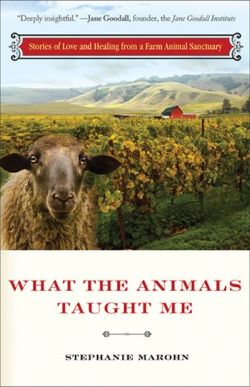 What the Animals Taught Me - Stephanie Marohn