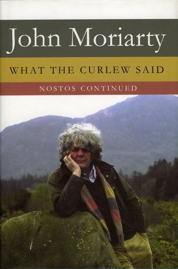 What the Curlew Said - John Moriarty