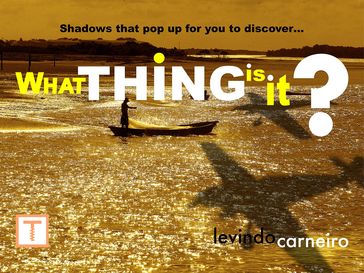 What thing is it? - Levindo Carneiro