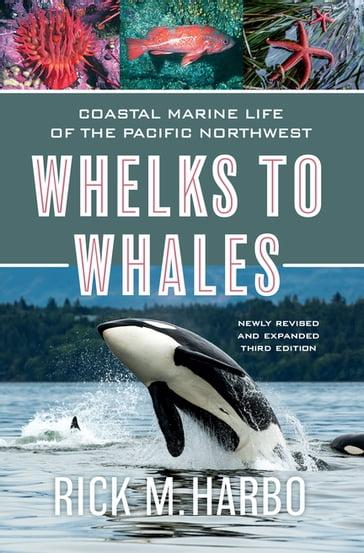 Whelks to Whales - Rick M. Harbo