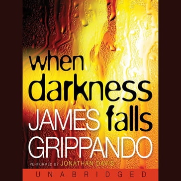 When Darkness Falls - James Grippando