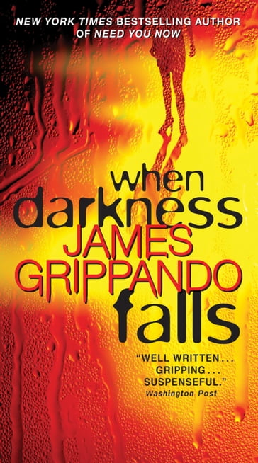 When Darkness Falls - James Grippando