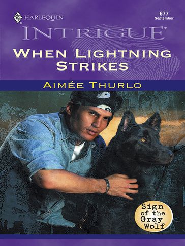 When Lightning Strikes - Aimée Thurlo