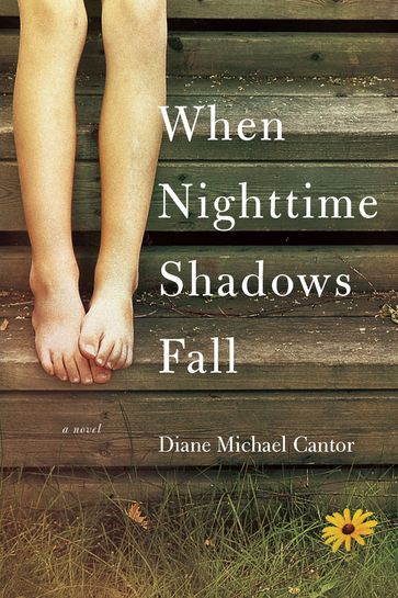 When Nighttime Shadows Fall - Diane Michael Cantor