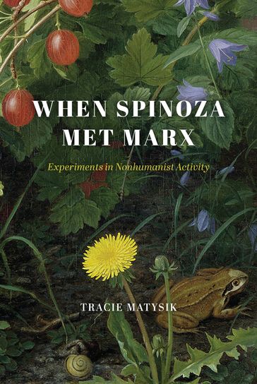 When Spinoza Met Marx - Tracie Matysik