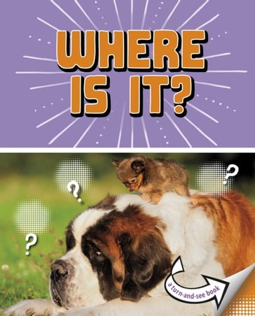 Where Is It? - Cari Meister