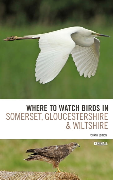 Where To Watch Birds in Somerset, Gloucestershire and Wiltshire - Ken Hall