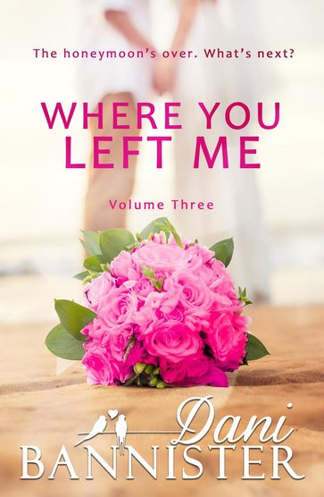 Where You Left Me, Vol. 3 - Danielle Bannister - Dani Bannister