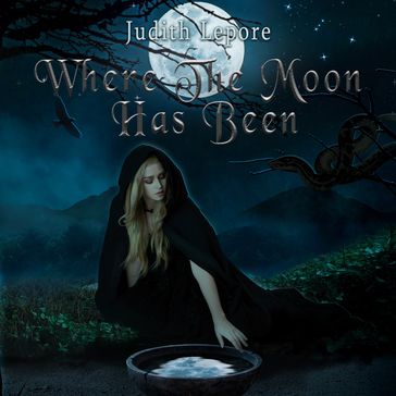 Where the Moon Has Been - Judith Lepore