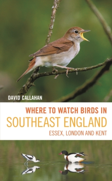 Where to Watch Birds in Southeast England - David Callahan