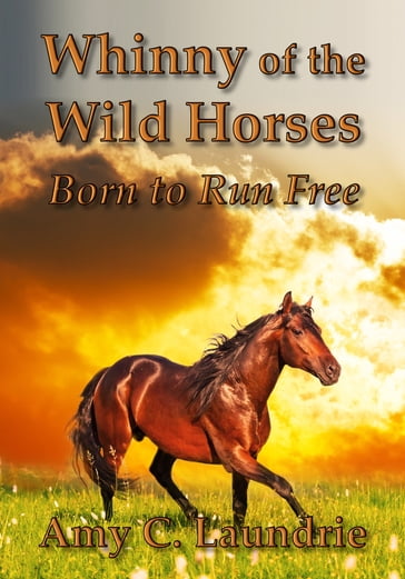 Whinny of the Wild Horses - Amy Laundrie