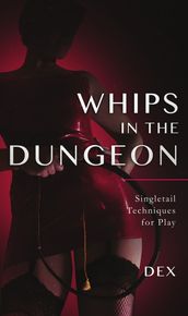 Whips in the Dungeon: Singletail Techniques for Play