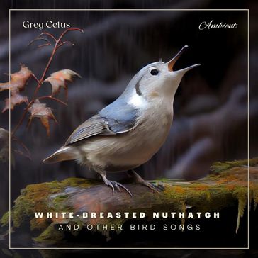 White-breasted Nuthatch and Other Bird Songs - Greg Cetus