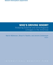 Who s Driving Whom? Analyzing External and Intra-Regional Linkages in the Americas