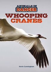 Whooping Cranes