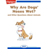 Why Are Dogs  Noses Wet?
