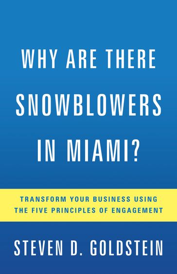 Why Are There Snowblowers in Miami? - Steven D. Goldstein
