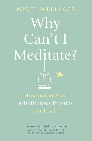 Why Can't I Meditate? - Nigel Wellings