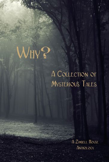 Why? A Collection of Mysterious Tales - Zimbell House Publishing