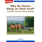 Why Do Horses Sleep on Their Feet?