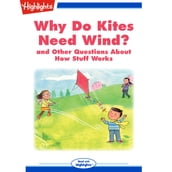 Why Do Kites Need Wind?