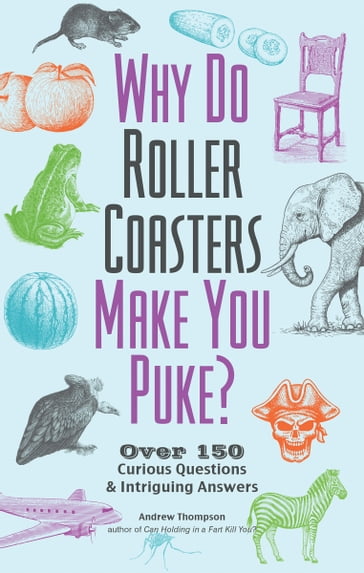 Why Do Roller Coasters Make You Puke? - Andrew Thompson