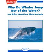Why Do Whales Jump out of the Water?