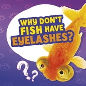 Why Don t Fish Have Eyelashes?
