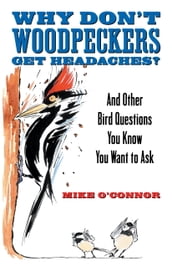 Why Don t Woodpeckers Get Headaches?
