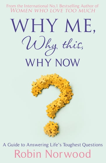 Why Me, Why This, Why Now? - Robin Norwood