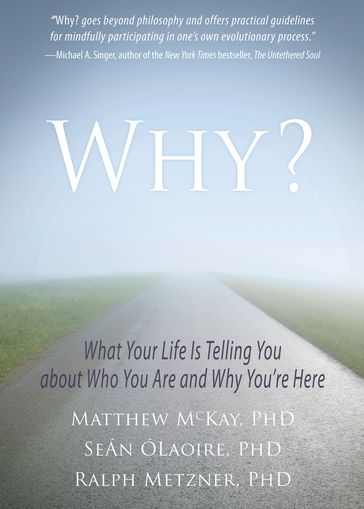 Why? - PhD Matthew McKay - PhD Ralph Metzner - PhD Seán ÓLaoire