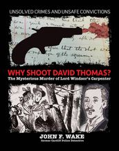 Why Shoot David Thomas? - The Mysterious Murder of Lord Windsor s Carpenter