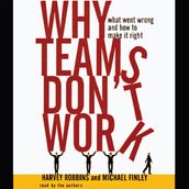 Why Teams Don t Work