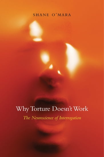 Why Torture Doesn't Work - Shane O