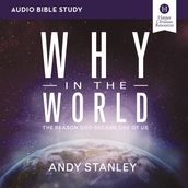 Why in the World: Audio Bible Studies