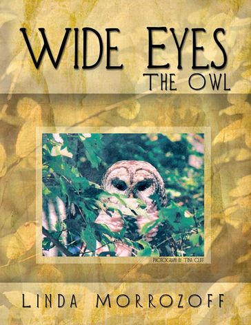 Wide Eyes the Owl - Linda Morrozoff