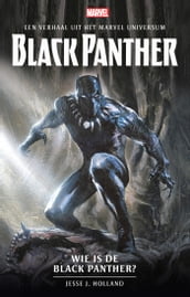 Wie is de Black Panther?