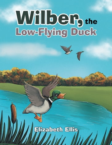 Wilber, the Low-Flying Duck - Elizabeth Ellis