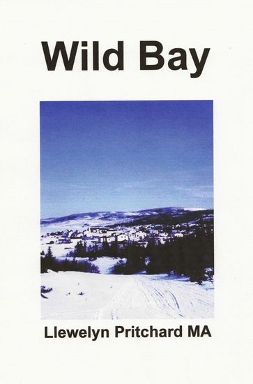 Wild Bay - Llewelyn Pritchard