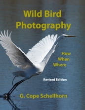 Wild Bird Photography: How, When, Where