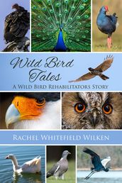 Wild Bird Tales