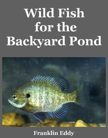 Wild Fish for the Backyard Pond - Franklin Eddy