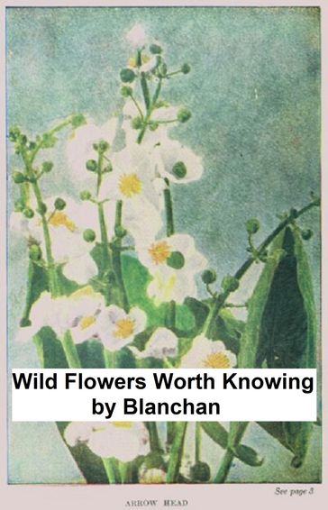 Wild Flowers Worth Knowing - Neltje Blanchan