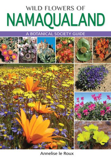 Wild Flowers of Namaqualand - Annelise le Roux