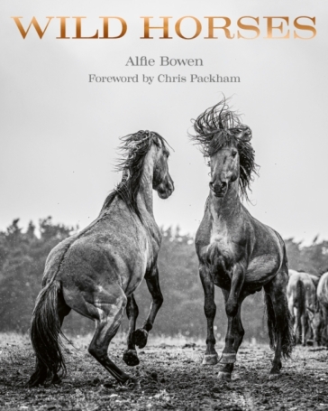 Wild Horses - Alfie Bowen