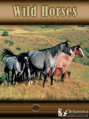 Wild Horses - Lynn Stone