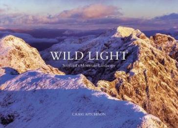 Wild Light - Craig Aitchison