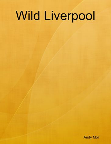Wild Liverpool - Andy Mor