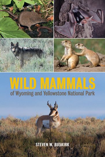 Wild Mammals of Wyoming and Yellowstone National Park - Steven W. Buskirk