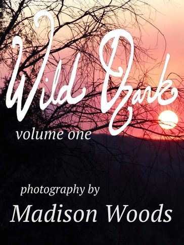 Wild Ozark - Madison Woods